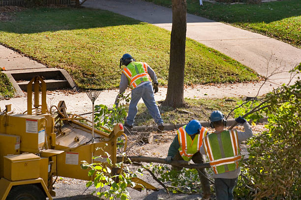 Best Tree Trimming Near Me  in Eagle River, WI